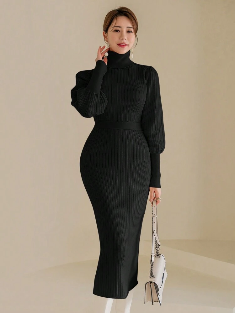 Modelyn Turtleneck Leg-of-mutton Sleeve Sweater Dress | SHEIN USA