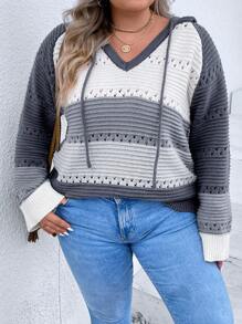 SHEIN LUNE Plus Colorblock Drop Shoulder Drawstring Hooded Sweater