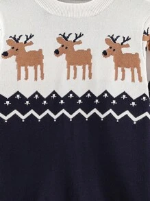 Young Boy Chevron And Animal Pattern Sweater, For Christmas - Multicolor - View 5