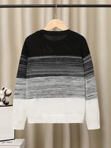 SHEIN Tween Boy Color Block Marled Knit Sweater - Multicolor - View 2