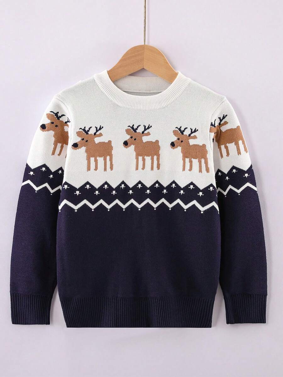 Young Boy Chevron And Animal Pattern Sweater, For Christmas - Multicolor - View 1