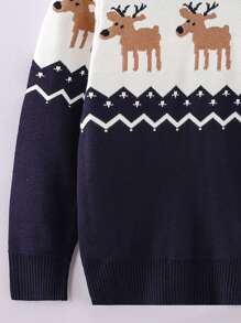 Young Boy Chevron And Animal Pattern Sweater, For Christmas - Multicolor - View 4
