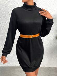 SHEIN Unity Turtleneck Drop Shoulder Dress Without Belt - Black - View 4