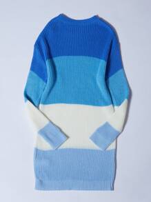SHEIN Tween Girl Color Block Ribbed Knit Sweater Dress - Blue - View 2