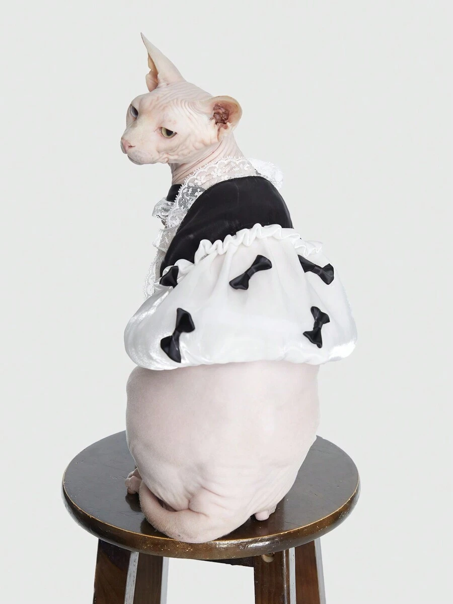 ROMWE Pháp Vintage Xa ten & Ren Đen Và Trắng Trang phục cho thú cưng - Đen và trắng - Xem 1