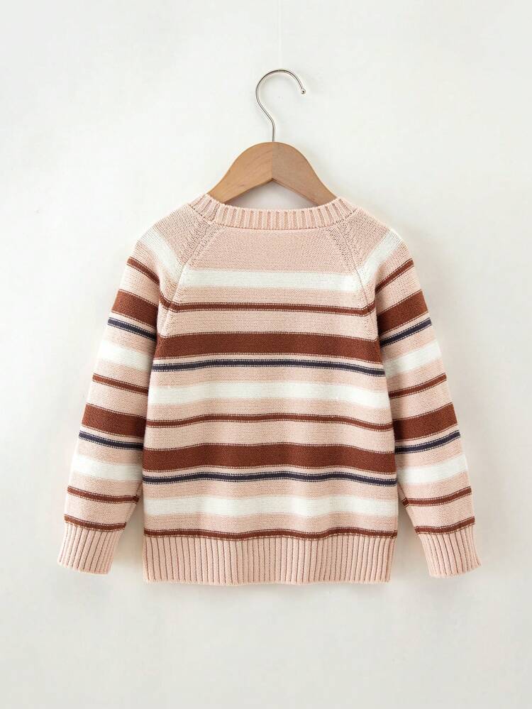 Young Boy Striped Pattern Raglan Sleeve Sweater