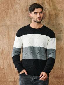 SHEIN Cottnline Men Color Block Argyle Knit Sweater - Black - View 4