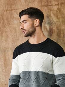 SHEIN Cottnline Men Color Block Argyle Knit Sweater - Black - View 7