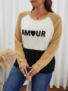 SHEIN Frenchy 大碼字母圖案撞色插肩袖套頭毛衣 - 彩色 - 查看 3