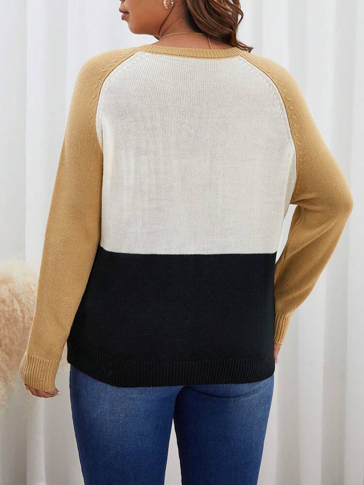 Plus Letter Pattern Colorblock Raglan Sleeve Sweater