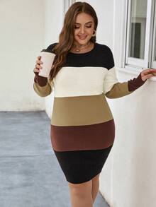 SHEIN LUNE Plus Color Block Sweater Dress - Multicolor - View 4