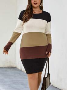 SHEIN LUNE Plus Color Block Sweater Dress - Multicolor - View 5