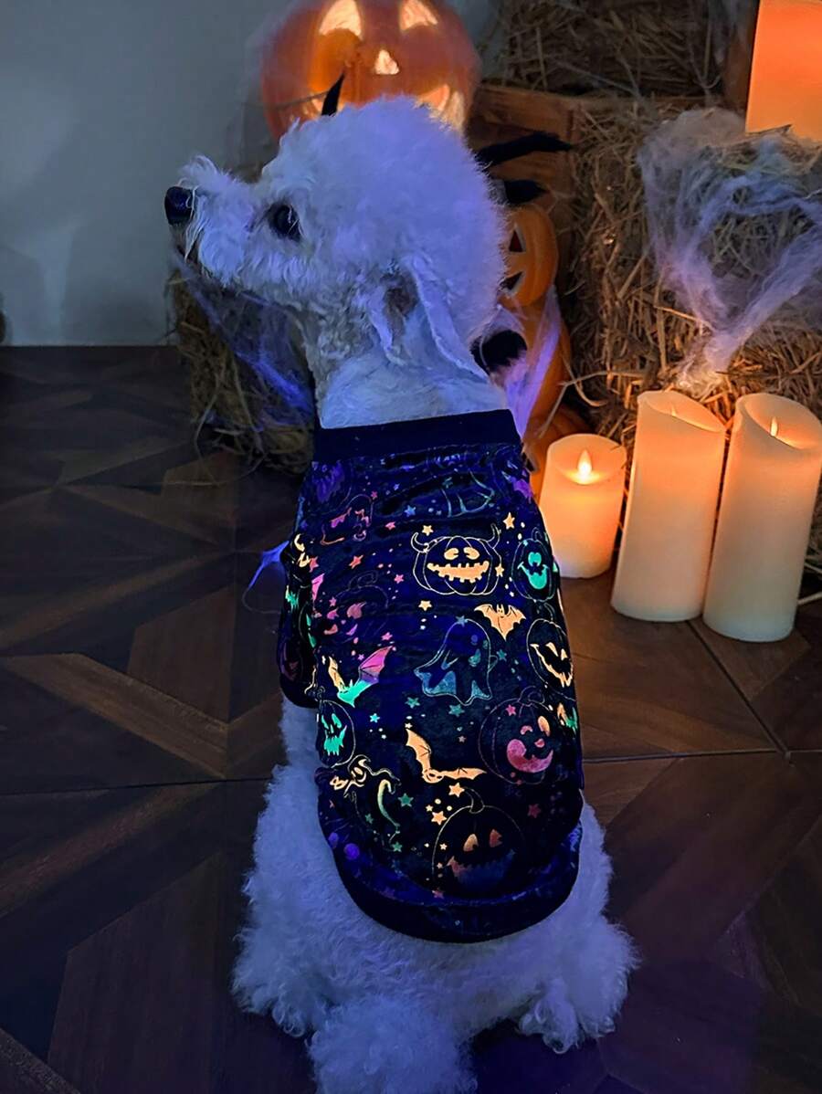 PETSIN 1pc Pet Halloween Bat, Pumpkin, Face Patterned Glow In Dark Hoodless Sweatshirt - Multicolor - View 1