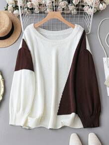 SHEIN LUNE Hơn Khối màu Thả vai Áo len - Nhiều màu - Xem 1