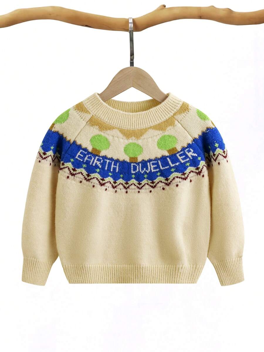 Young Boy Letter Pattern Raglan Sleeve Sweater