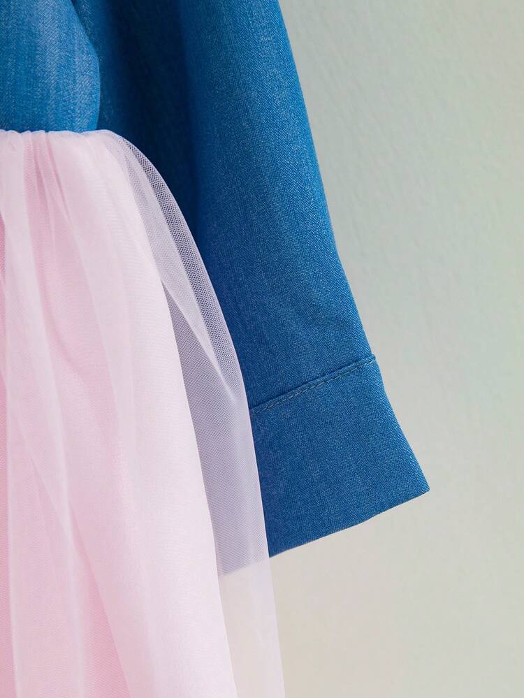 Baby Girl Two Tone Mesh Hem Shirt Dress