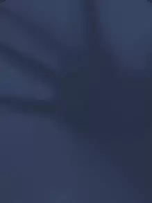 SHEIN VCAY Notched Neckline Puff Sleeve Blouse