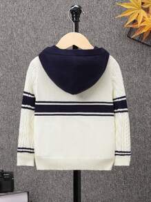 SHEIN Young Boy Striped Pattern Cable Knit Jumper - Multicolor - View 2