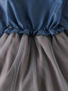 Young Girl Frill Mock Neck Half Button Mesh Hem Dress - Blue - View 3