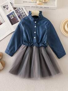 Young Girl Frill Mock Neck Half Button Mesh Hem Dress - Blue - View 1