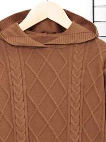 SHEIN Tween Boy Cable Knit Hooded Sweater - Brown - View 3
