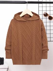 SHEIN Tween Boy Cable Knit Hooded Sweater - Brown - View 1