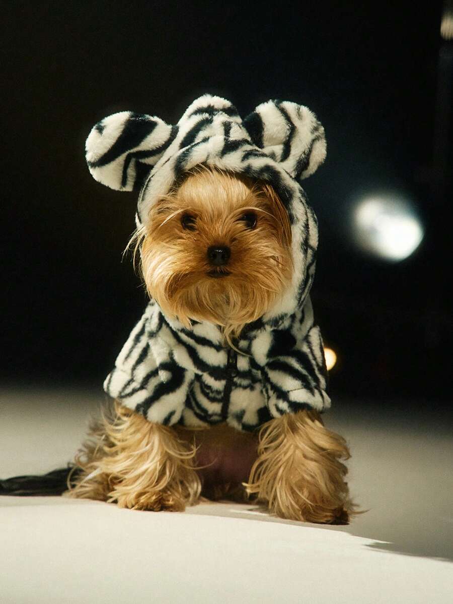 1件寵物外套帶有條紋圖案的兔毛皮衣裳,適用於貓和狗