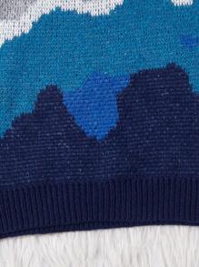 Young Boy Colorblock Raglan Sleeve Sweater - Blue - View 6