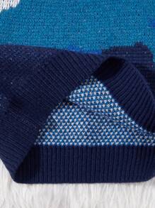 Young Boy Colorblock Raglan Sleeve Sweater - Blue - View 7