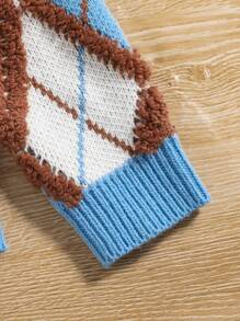 Tween Boy Argyle Pattern Contrast Trim Sweater - Multicolor - View 3