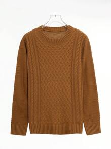 Men Solid Cable Knit Sweater - Camel - View 1