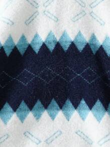 Tween Boy Argyle Pattern Sweater - Multicolor - View 4