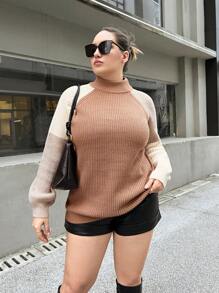 SHEIN Essnce Plus Raglan Sleeve Mock Neck Colorblock Sweater
