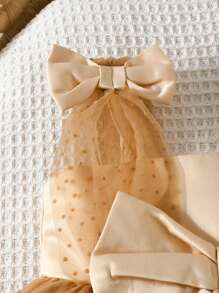 SHEIN 女婴优雅可爱薄纱连衣裙、节日派对蓬松连衣裙洗礼休闲可爱派对摄影连衣裙 - 彩色 - 查看 4