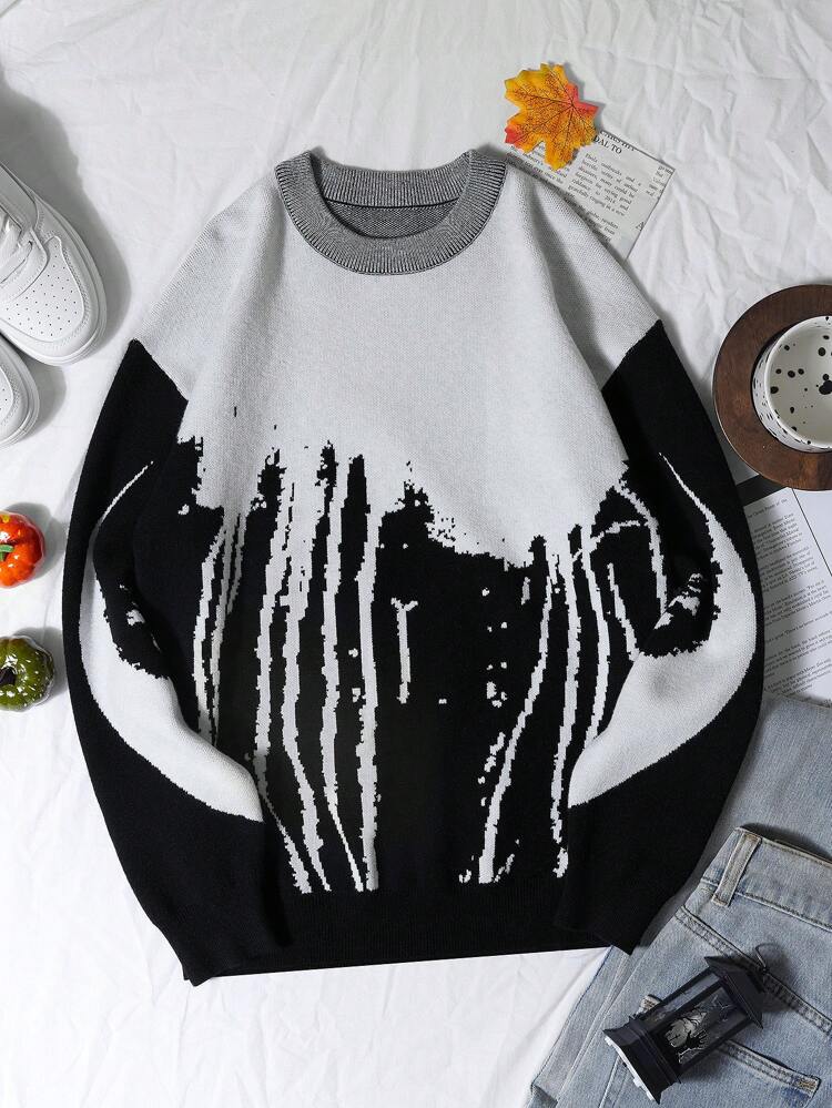 Teen Boy Two Tone Sweater