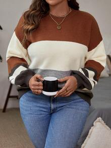 SHEIN LUNE 大碼撞色落肩袖套頭毛衣 - 彩色 - 查看 7