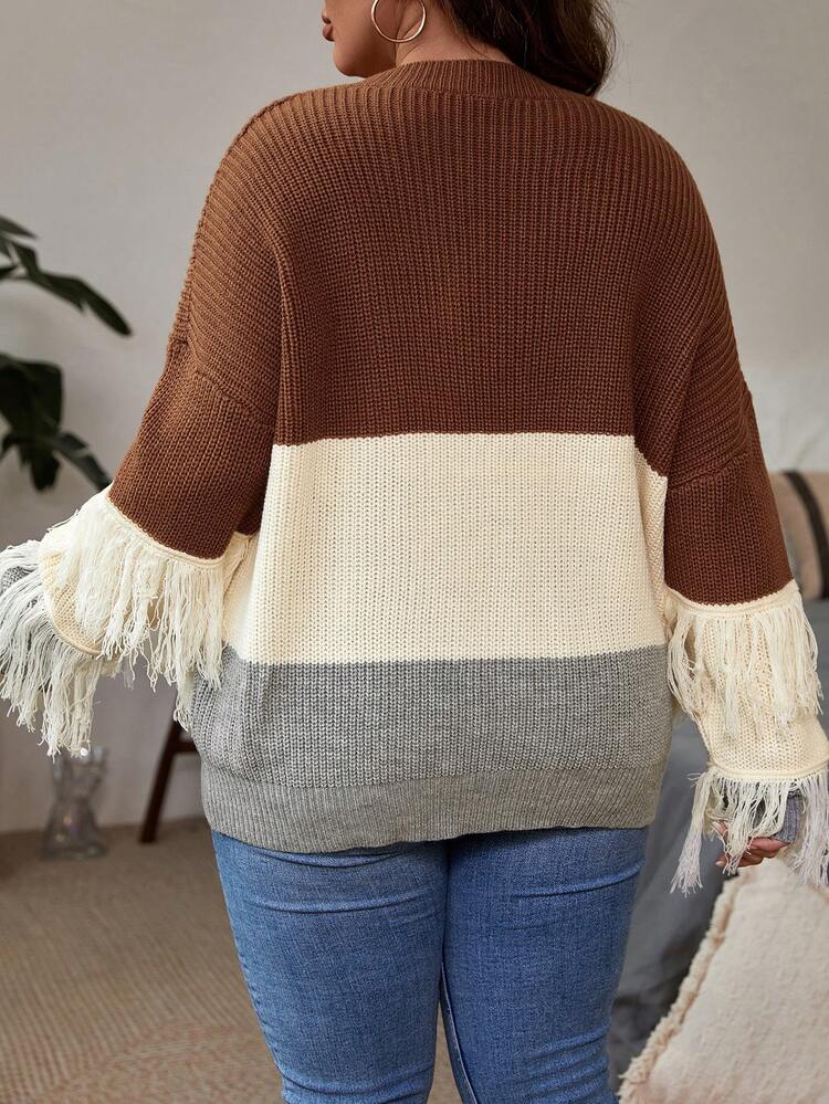 Plus Colorblock Fringe Trim Drop Shoulder Sweater