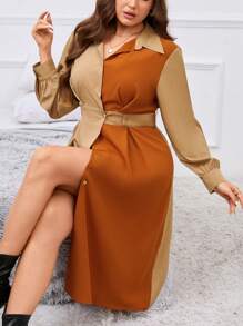 SHEIN Clasi Plus Two Tone Fold Pleated Detail Shirt Dress - Multicolor - View 5