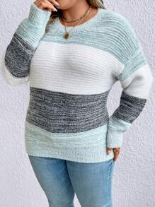 SHEIN LUNE 加大码撞色落肩针织套头衫秋冬毛衣 - 彩色 - 查看 5