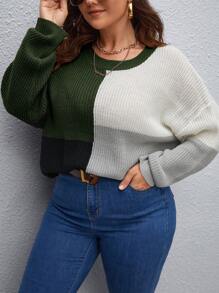 SHEIN LUNE 大碼撞色落肩袖套頭毛衣 - 彩色 - 查看 1