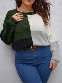 SHEIN LUNE 大碼撞色落肩袖套頭毛衣 - 彩色 - 查看 6