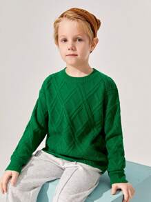 SHEIN Boys' Loose-fit Round Neck Long Sleeve Drop Shoulder Sweater, Casual - Green - View 1