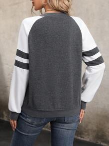 SHEIN LUNE Colorblock Raglan Sleeve Striped Print Sweatshirt - Multicolor - View 2