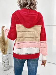 SHEIN LUNE Color Block Raglan Sleeve Drawstring Hooded Pointelle Knit Zipper Cardigan - Multicolor - View 2