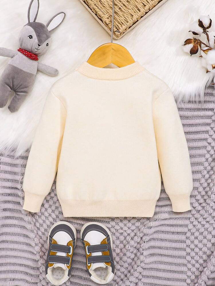 Baby Boy Bear & Letter Graphic Thermal Lined Sweater