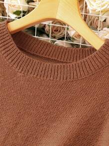 Calvaya Plus Solid Round Neck Sweater Dress - Coffee Brown - View 3