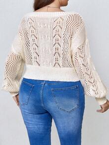 Celure Plus Pointelle Knit Drop Shoulder Sweater - Apricot - View 3