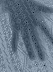 EMERY ROSE 網眼刺繡貝殼邊T恤 - 淺藍色 - 查看 7