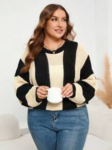 SHEIN LUNE Plus Two Tone Drop Shoulder Sweater Knit Pullover Fall Winter Sweater - Multicolor - View 4
