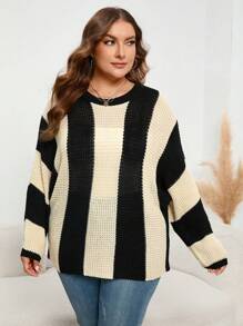 SHEIN LUNE Plus Two Tone Drop Shoulder Sweater Knit Pullover Fall Winter Sweater - Multicolor - View 5